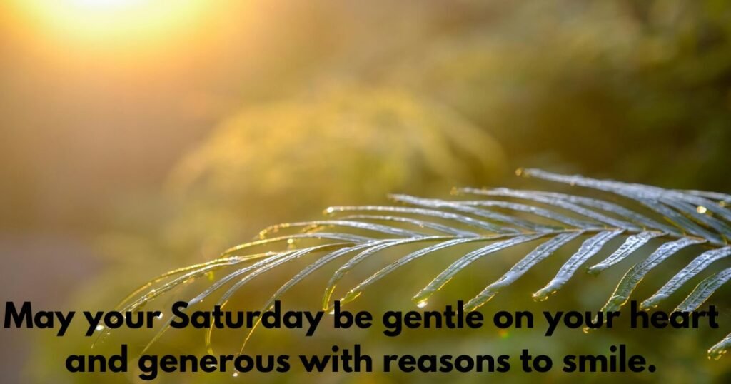 Beautiful Saturday Good Morning Images to Share