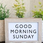 180+ Good Morning Happy Sunday: Warm Wishes, Blessings & Messages