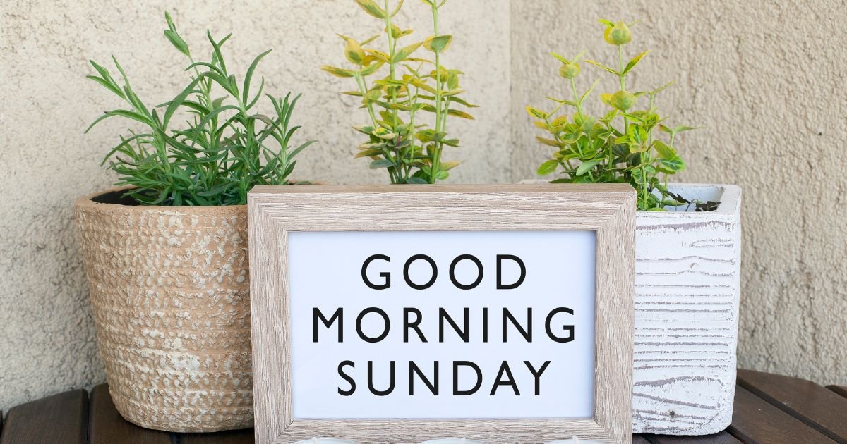 180+ Good Morning Happy Sunday: Warm Wishes, Blessings & Messages